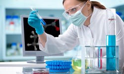 Tratamiento Eliminación de moho